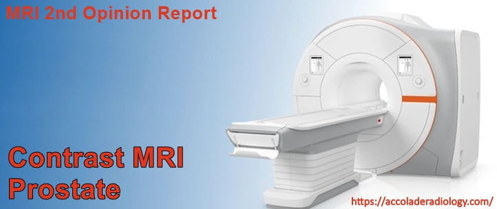 Contrast Enhanced MRI of Prostate