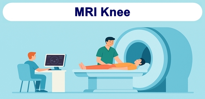 MRI of knee